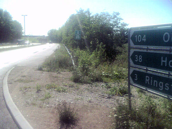 intro_35_ringsted