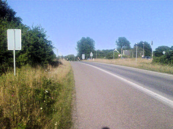 intro_53_blommenslyst